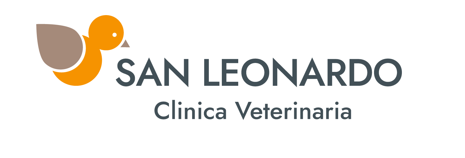Clinica Veterinaria San Leonardo